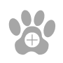 Dog Food That Supports Stamina - Hunters Natural Dog Food That Supports Stamina - Hunters Natural